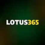 Profile photo of lotus365website